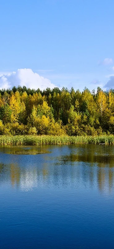 PeelitStickit, Beautiful Nature Wall Murals, ID-0042, vinyl