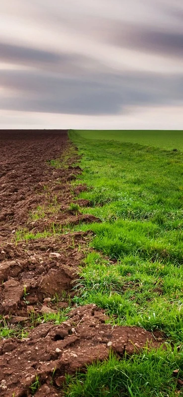 PeelitStickit, Beautiful Nature Wall Murals, ID-0041, vinyl