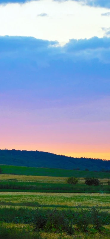 PeelitStickit, Beautiful Nature Wall Murals, ID-0057, vinyl