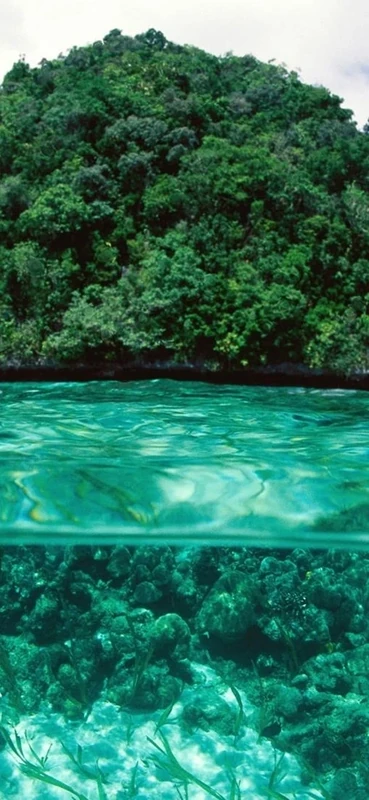 PeelitStickit, Beautiful Nature Wall Murals, ID-058, vinyl