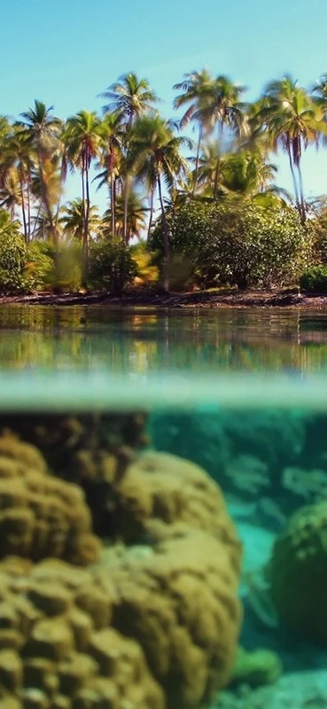 PeelitStickit, Beautiful Nature Wall Murals, ID-061, vinyl