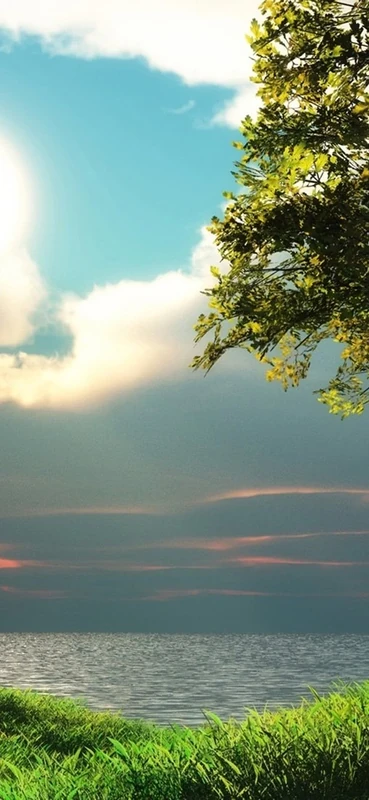 PeelitStickit, Beautiful Nature Wall Murals, ID-063, vinyl