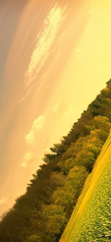 PeelitStickit, Beautiful Nature Wall Murals, ID-060, vinyl