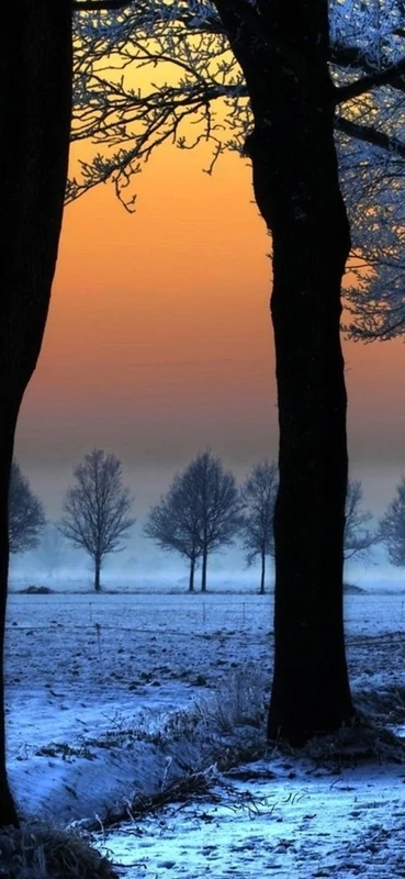 PeelitStickit, Beautiful Nature Wall Murals, ID-070, vinyl