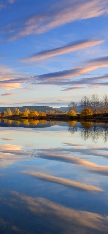 PeelitStickit, Beautiful Nature Wall Murals, ID-073, vinyl