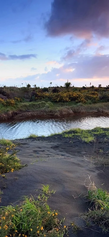 PeelitStickit, Beautiful Nature Wall Murals, ID-075, vinyl