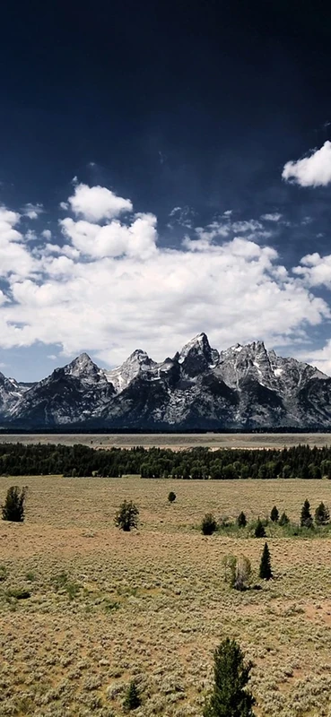 PeelitStickit, Beautiful Nature Wall Murals, ID-076, vinyl