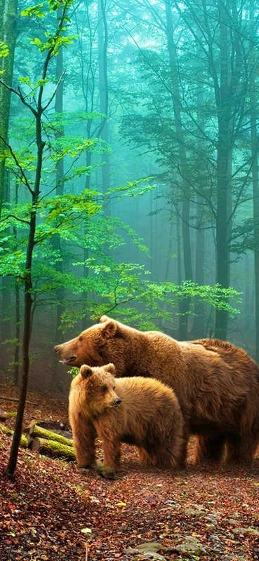 PeelitStickit, Beautiful Nature Wall Murals, ID-080, vinyl