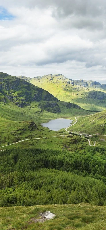 PeelitStickit, Beautiful Nature Wall Murals, ID-078, vinyl