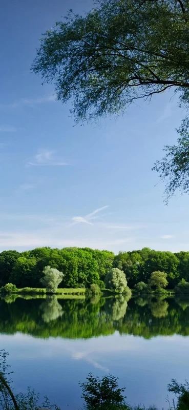 PeelitStickit, Beautiful Nature Wall Murals, ID-085, vinyl