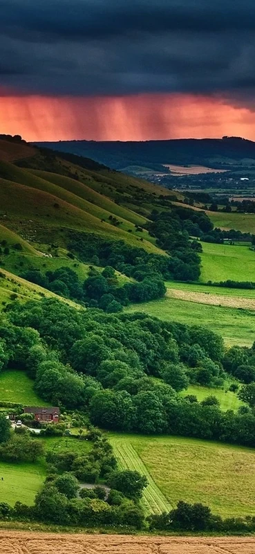 PeelitStickit, Beautiful Nature Wall Murals, ID-088, vinyl