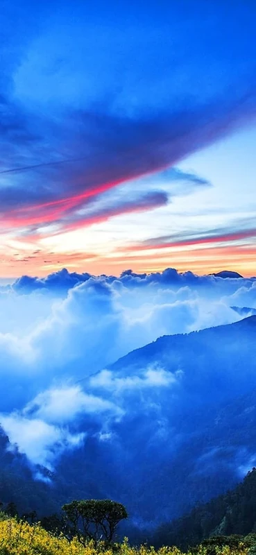 PeelitStickit, Beautiful Nature Wall Murals, ID-089, vinyl