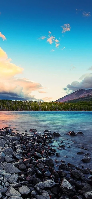 PeelitStickit, Beautiful Nature Wall Murals, ID-091, vinyl