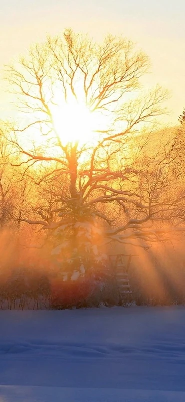 PeelitStickit, Beautiful Nature Wall Murals, ID-096, vinyl