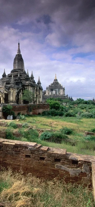 PeelitStickit, Beautiful Nature Wall Murals, ID-0099, vinyl