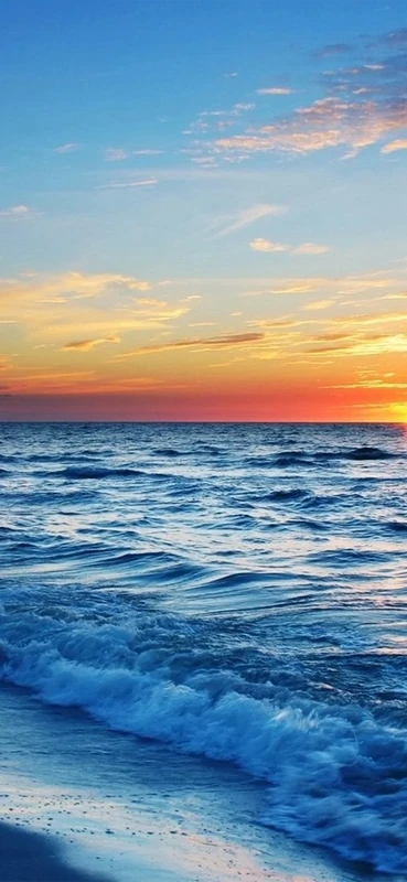 PeelitStickit, Beautiful Nature Wall Murals, ID-101, vinyl