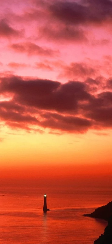 PeelitStickit, Beautiful Nature Wall Murals, ID-0100, vinyl