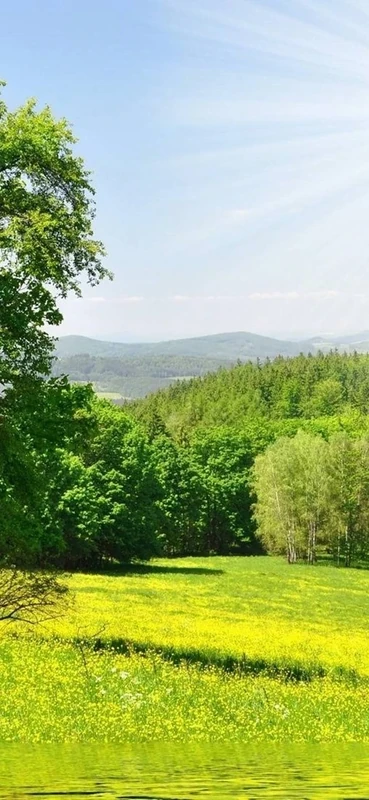 PeelitStickit, Beautiful Nature Wall Murals, ID-100, vinyl