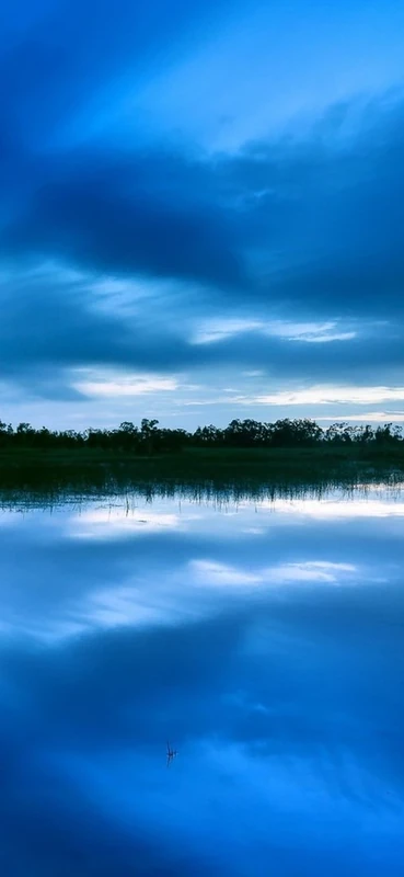 PeelitStickit, Beautiful Nature Wall Murals, ID-099, vinyl