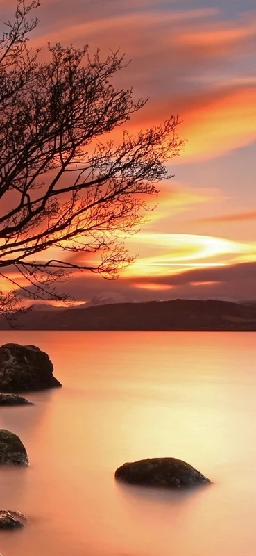 PeelitStickit, Beautiful Nature Wall Murals, ID-106, vinyl