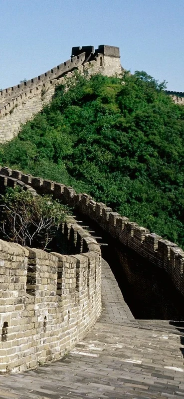 PeelitStickit, Beautiful Nature Wall Murals, ID-0111, vinyl