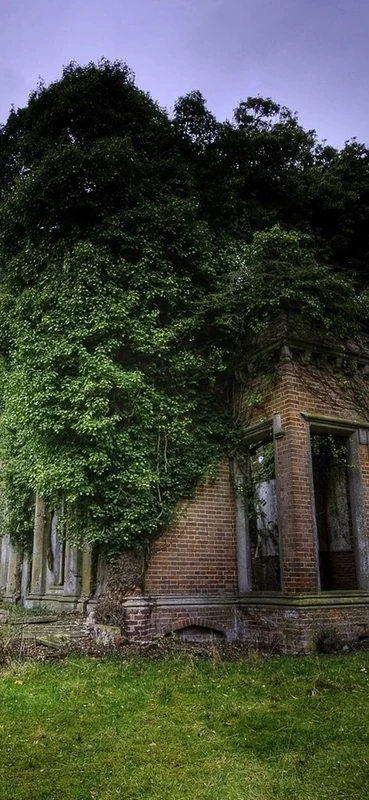 PeelitStickit, Beautiful Nature Wall Murals, ID-118, vinyl