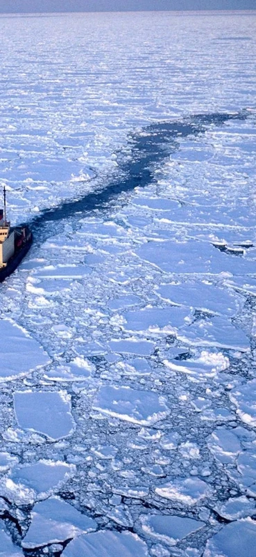 PeelitStickit, Beautiful Nature Wall Murals, ID-0113, vinyl