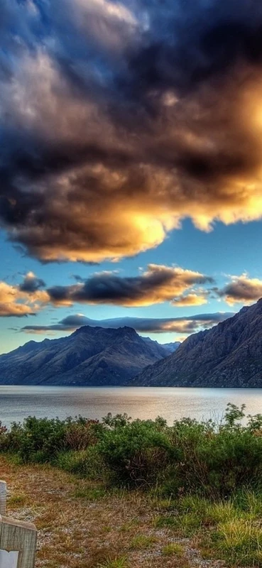 PeelitStickit, Beautiful Nature Wall Murals, ID-116, vinyl