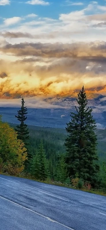 PeelitStickit, Beautiful Nature Wall Murals, ID-115, vinyl