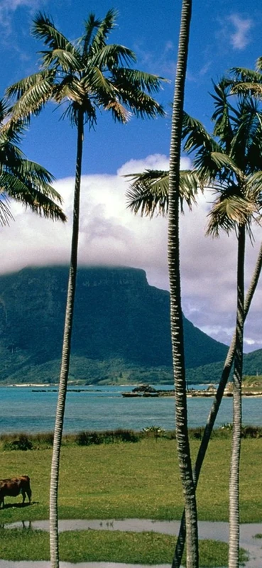 PeelitStickit, Beautiful Nature Wall Murals, ID-0119, vinyl