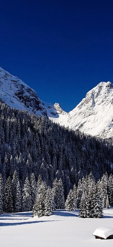 PeelitStickit, Beautiful Nature Wall Murals, ID-119, vinyl