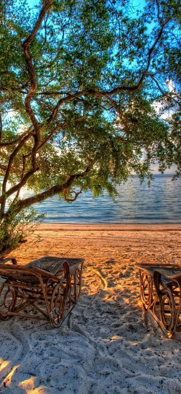 PeelitStickit, Beautiful Nature Wall Murals, ID-122, vinyl