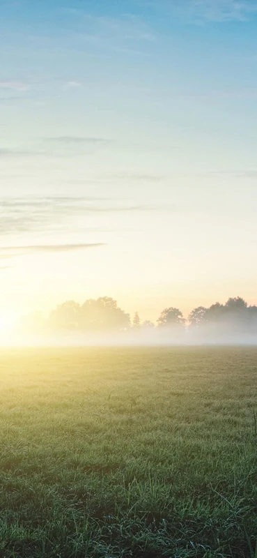 PeelitStickit, Beautiful Nature Wall Murals, ID-127, vinyl