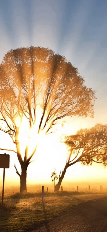 PeelitStickit, Beautiful Nature Wall Murals, ID-131, vinyl