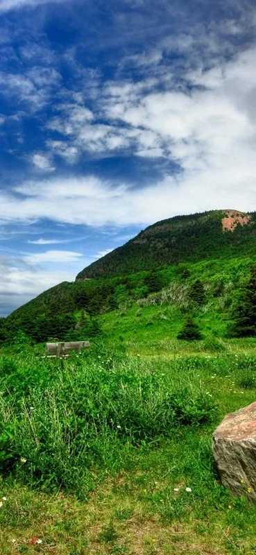 PeelitStickit, Beautiful Nature Wall Murals, ID-132, vinyl