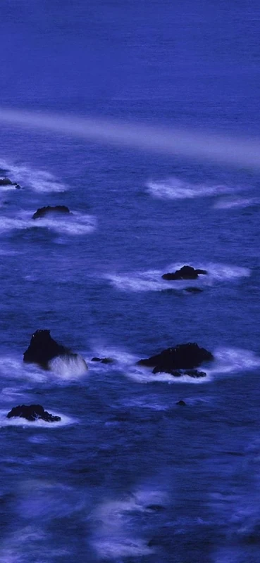 PeelitStickit, Beautiful Nature Wall Murals, ID-0130, vinyl