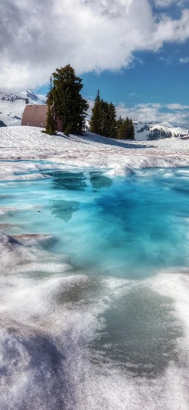 PeelitStickit, Beautiful Nature Wall Murals, ID-138, vinyl