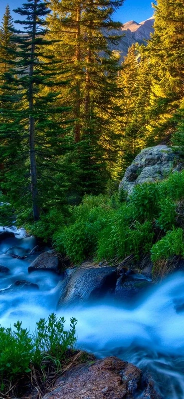 PeelitStickit, Beautiful Nature Wall Murals, ID-137, vinyl