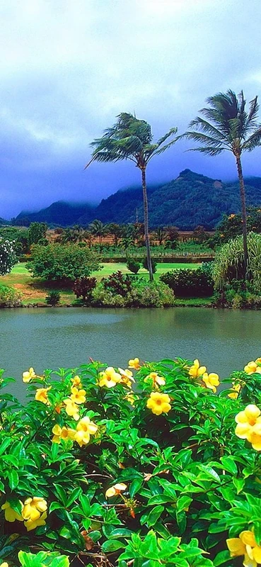 PeelitStickit, Beautiful Nature Wall Murals, ID-0142, vinyl