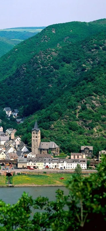 PeelitStickit, Beautiful Nature Wall Murals, ID-0144, vinyl