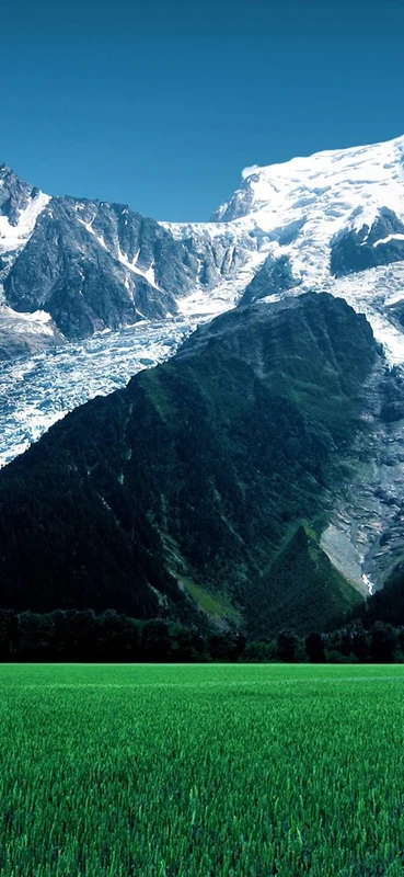 PeelitStickit, Beautiful Nature Wall Murals, ID-147, vinyl