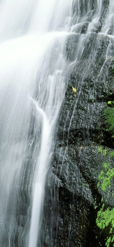 PeelitStickit, Beautiful Nature Wall Murals, ID-0150, vinyl