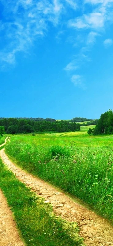 PeelitStickit, Beautiful Nature Wall Murals, ID-151, vinyl