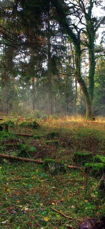 PeelitStickit, Beautiful Nature Wall Murals, ID-159, vinyl