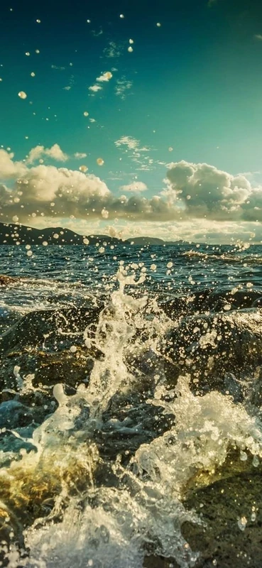 PeelitStickit, Beautiful Nature Wall Murals, ID-157, vinyl