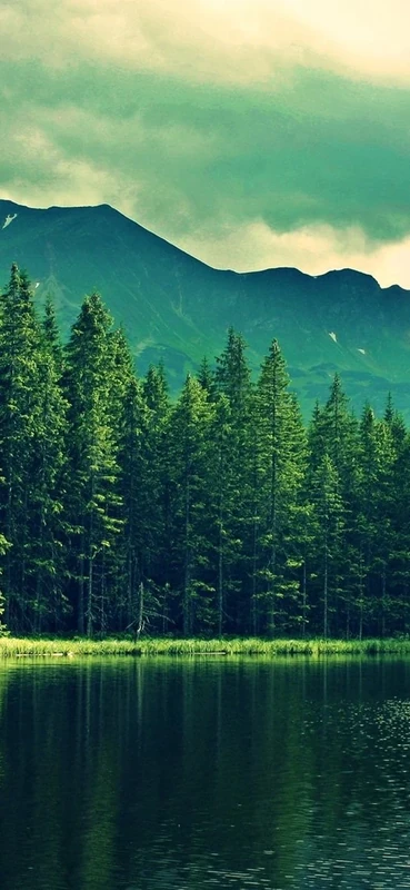 PeelitStickit, Beautiful Nature Wall Murals, ID-162, vinyl