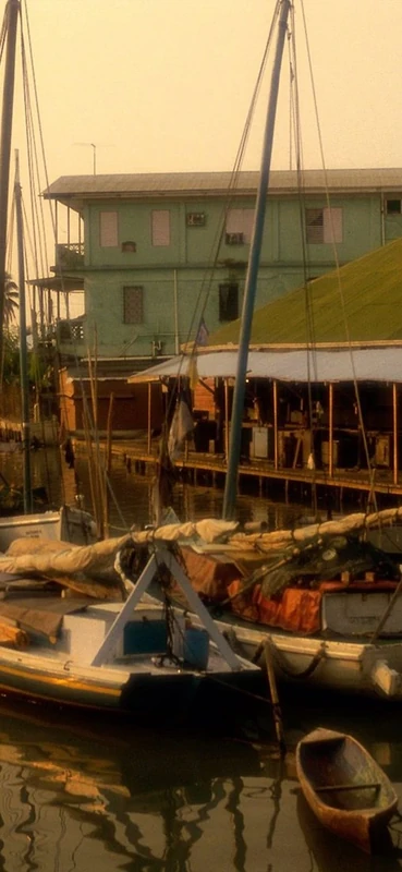 PeelitStickit, Beautiful Nature Wall Murals, ID-0160, vinyl