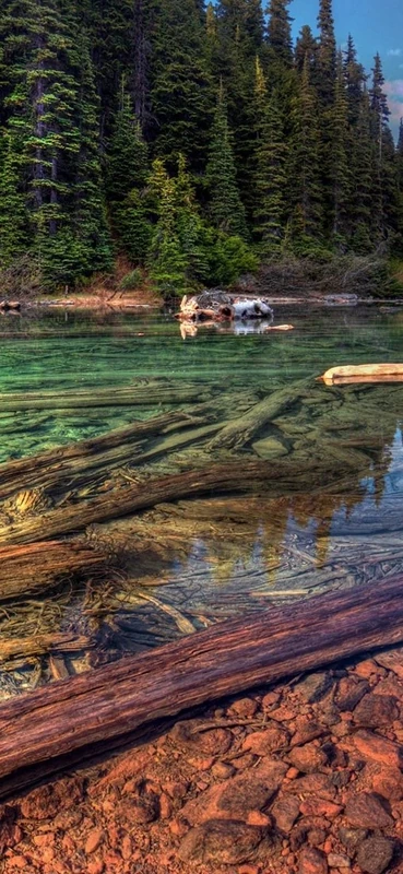 PeelitStickit, Beautiful Nature Wall Murals, ID-163, vinyl