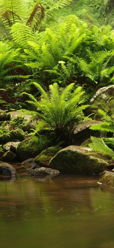 PeelitStickit, Beautiful Nature Wall Murals, ID-171, vinyl