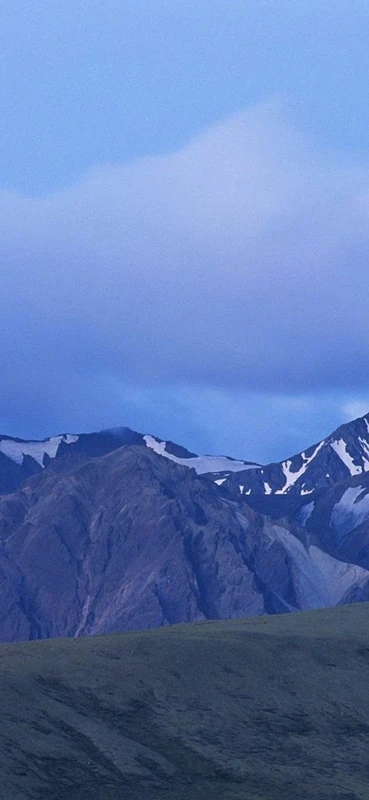 PeelitStickit, Beautiful Nature Wall Murals, ID-0172, vinyl